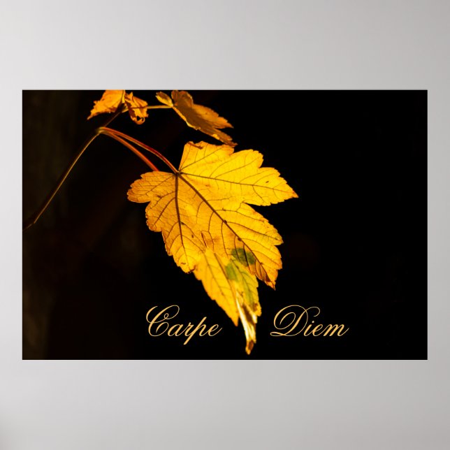 Personalizable Carpe Diem with colorful leaf Poste Poster (Front)