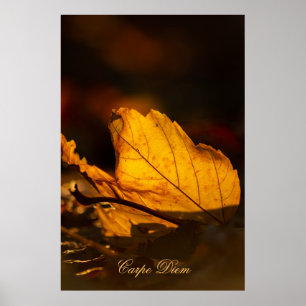 Personalizable Carpe Diem with colorful leaf Poste Poster