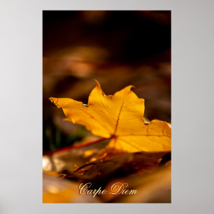 Personalizable Carpe Diem with colorful leaf Poster