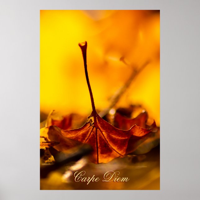 Personalizable Carpe Diem with colorful leaf Poster (Front)