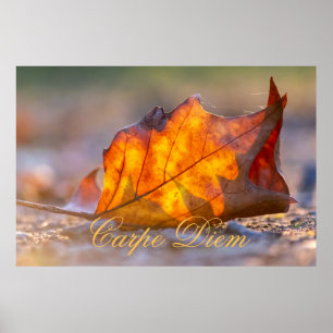 Personalizable Carpe Diem with colourful leaf Post Poster