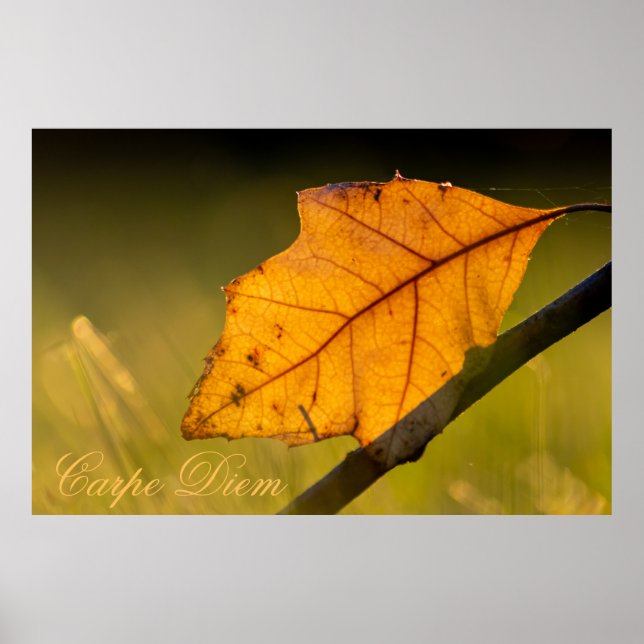 Personalizable Carpe Diem with colourful leaf Post Poster (Front)