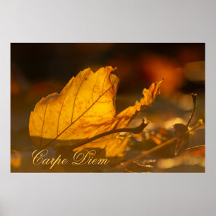 Personalizable Carpe Diem with colourful leaf Post Poster