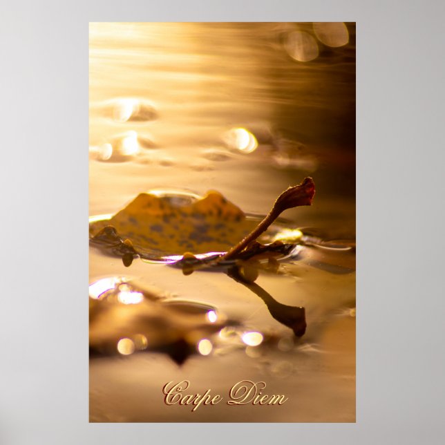 Personalizable Carpe Diem with colourful leaf Post Poster (Front)