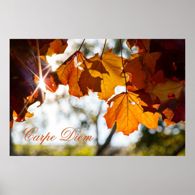Personalizable Carpe Diem with colourful leaf Post Poster (Front)