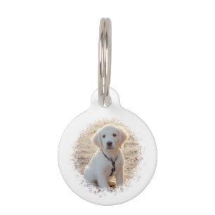 Personalizable Pet Photo Template With Custom Info Tag