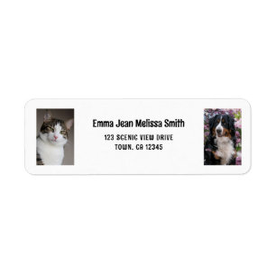 Personalize 2 Photos Cat Dog Modern Return Address