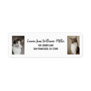Personalize 2 Photos w/ Cat Modern Return Address