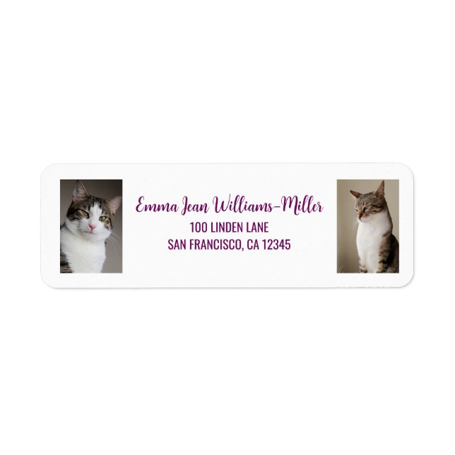 Personalize 2 Photos w/ Cat Modern Return Address (Front)