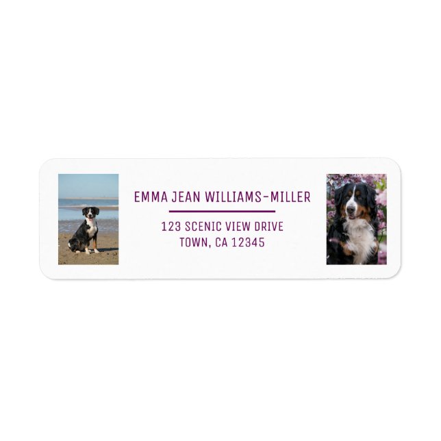 Personalize 2 Photos w/ Dog Modern Return Address (Front)