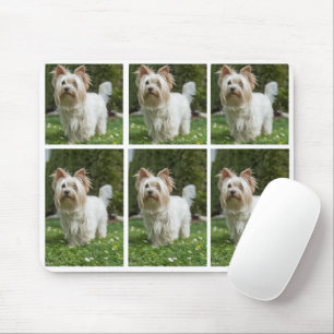 Personalize 6 Photo Collage dog owner Mouse Pad