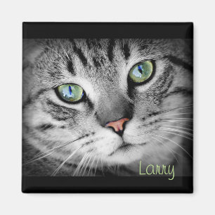 Personalize a Magnet with your Favourite Pet!