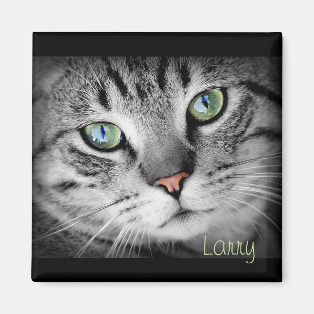 Personalize a Magnet with your Favourite Pet! (Front)