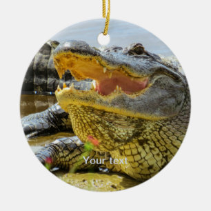 Personalize American alligator portrait photograph Ceramic Ornament