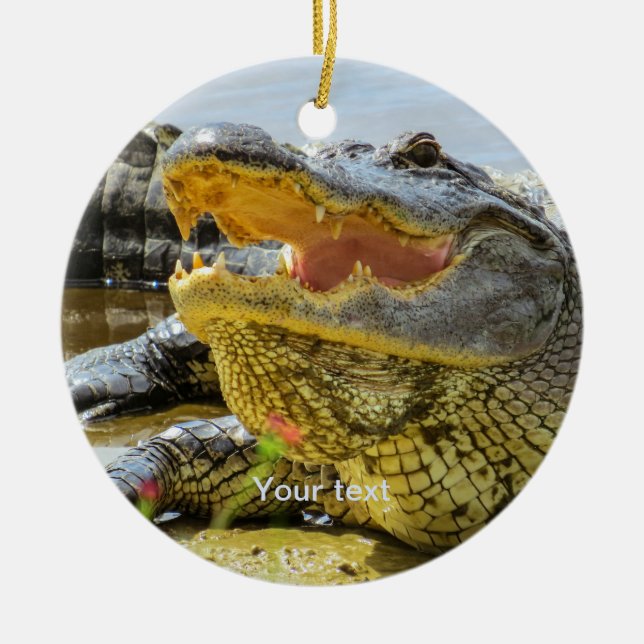 Personalize American alligator portrait photograph Ceramic Ornament (Front)