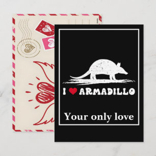 Personalize Armadillo Silhouettes: Custom Designs  Holiday Postcard
