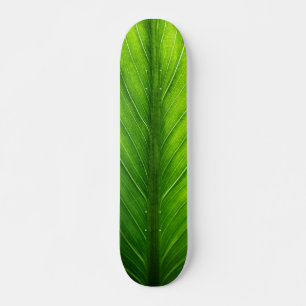 Personalize Beautiful Green Leaf Skateboard