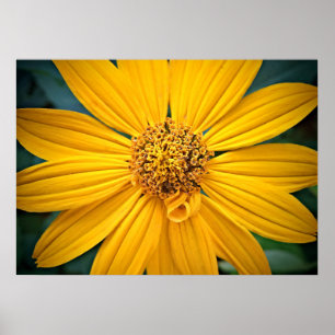 Personalize Beautiful Yellow Flower Poster