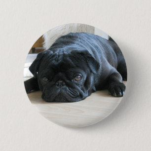 Personalize cute black Pug Puppy accessories name 2 Inch Round Button