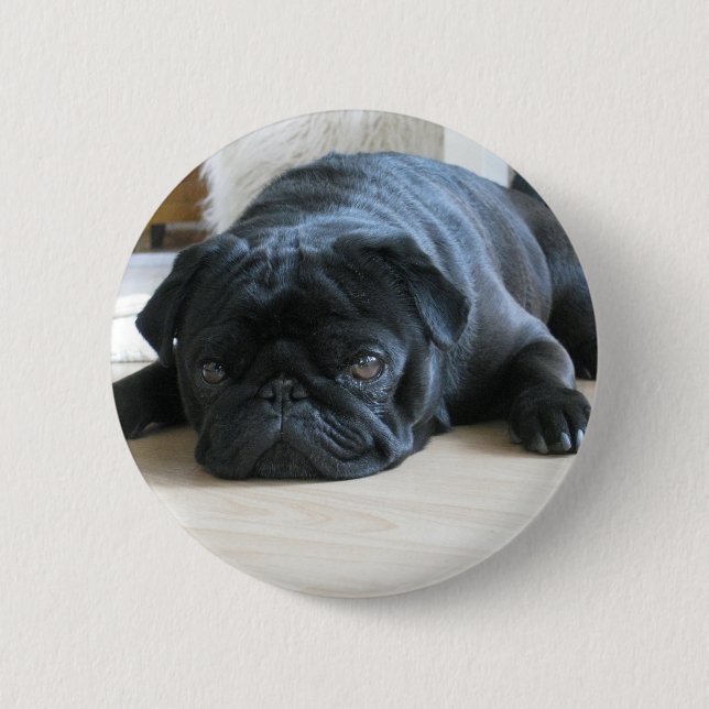 Personalize cute black Pug Puppy accessories name 2 Inch Round Button (Front)