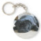 Personalize cute black Pug Puppy accessories name