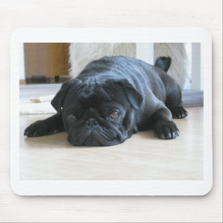 Personalize cute black Pug Puppy accessories name Mouse Pad