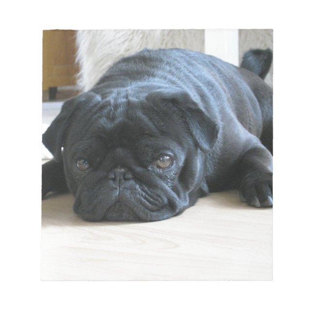 Personalize cute black Pug Puppy accessories name Notepad (Front)