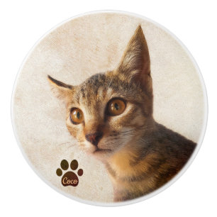 Personalize Cute Pet Kitten Cat Dog Photo Template Ceramic Knob