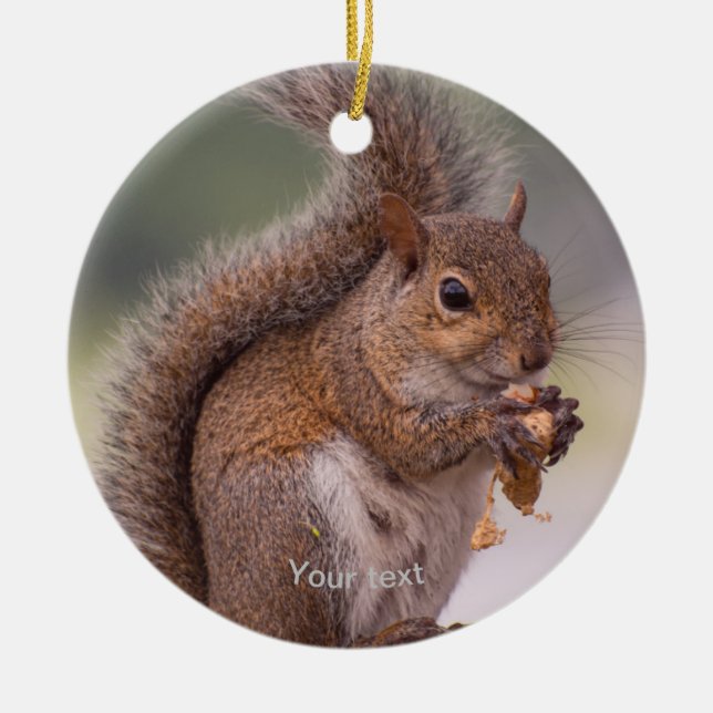Personalize cute Squirrel eating a nut photography Ceramic Ornament (Front)