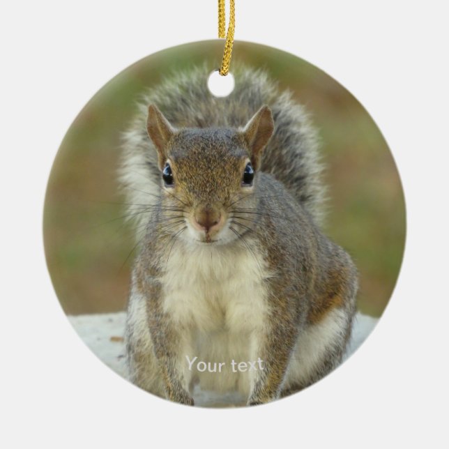 Personalize Cute Squirrel face to face photography Ceramic Ornament (Front)