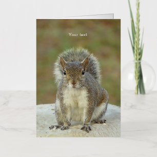 Personalize Cute Squirrel face to face photography Foil Greeting Card