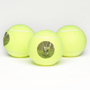 Personalize Dog Pet Picture Name Playtime Tennis Balls