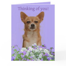 Personalize Doggie large "Thinking of you" Card