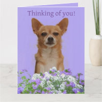 Personalize Doggie large "Thinking of you" Card
