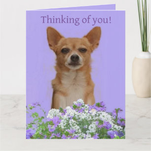 Personalize Doggie large "Thinking of you" Card