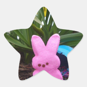Personalize Easter Bunny Peace Love Art Destiny Star Sticker