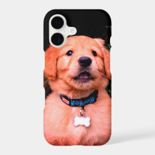Personalize Golden Retriever Puppy