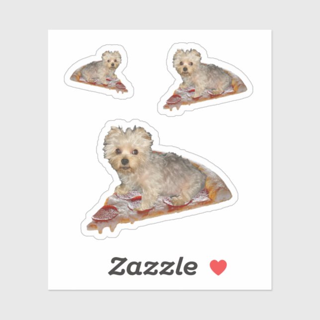 Personalize It! Flying Pizza Pet (Sheet)
