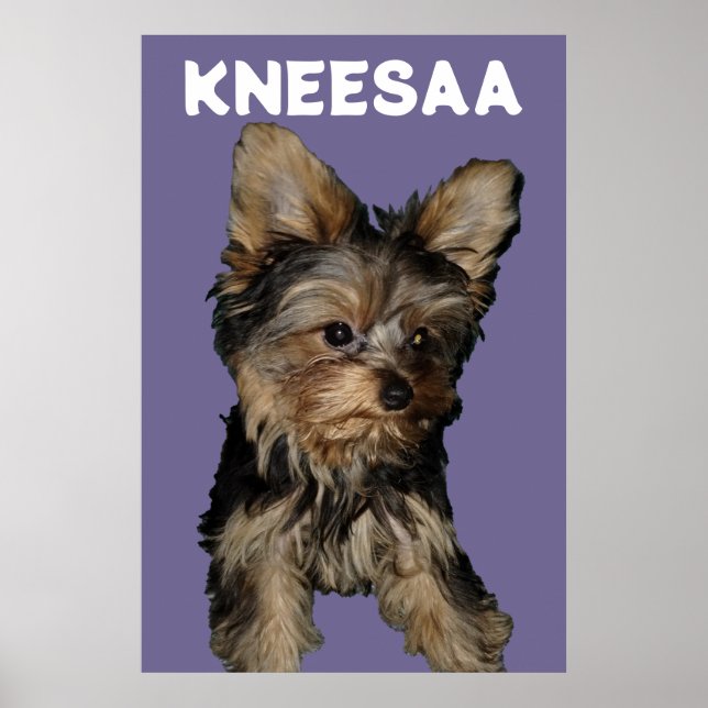 Personalize It! LAVENDER Pet Photo & Name Poster (Front)