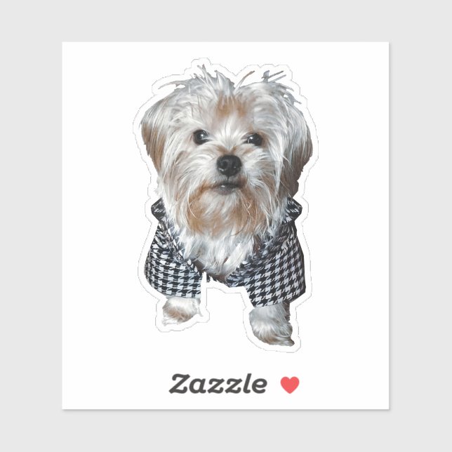 Personalize It! Pet Photo (Sheet)