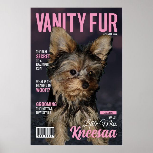 Personalize It! VF Girly Pink Mag Cover Poster (Front)