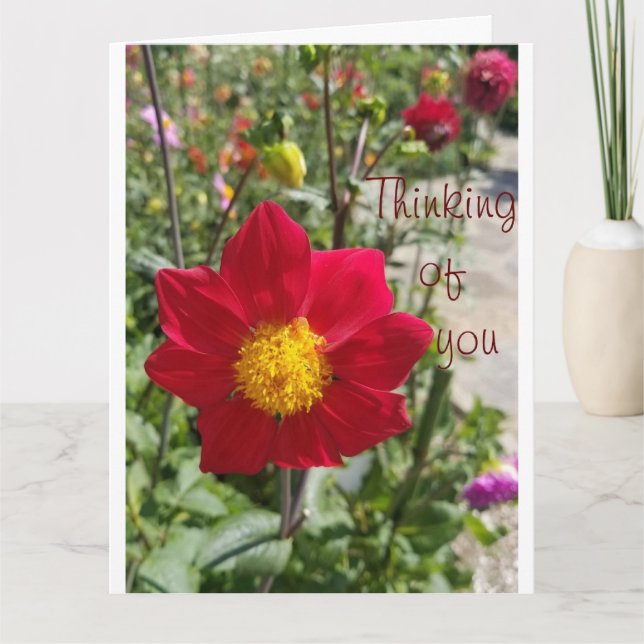 Personalize large "Thinking of You" Sympathy Card (Front)