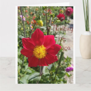 Personalize large "Thinking of You" Sympathy Card