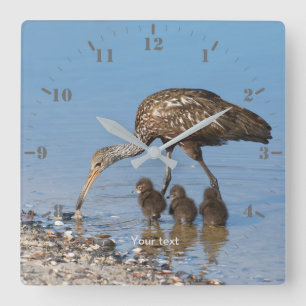Personalize Limpkin bird with its three babies Square Wall Clock