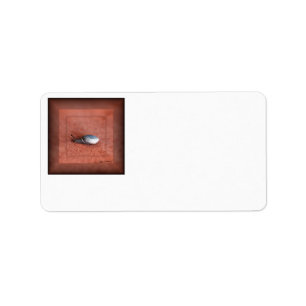 Personalize Macro Photograph of Snail Terracotta Label