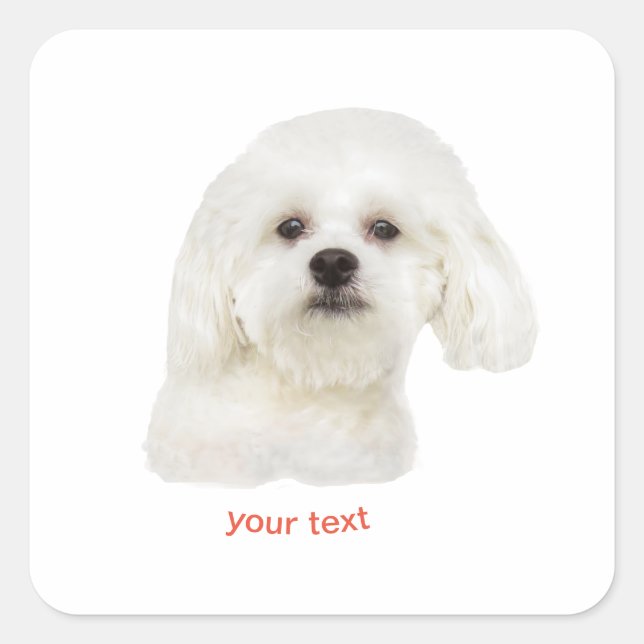 Personalize Maltese dog Square Sticker (Front)