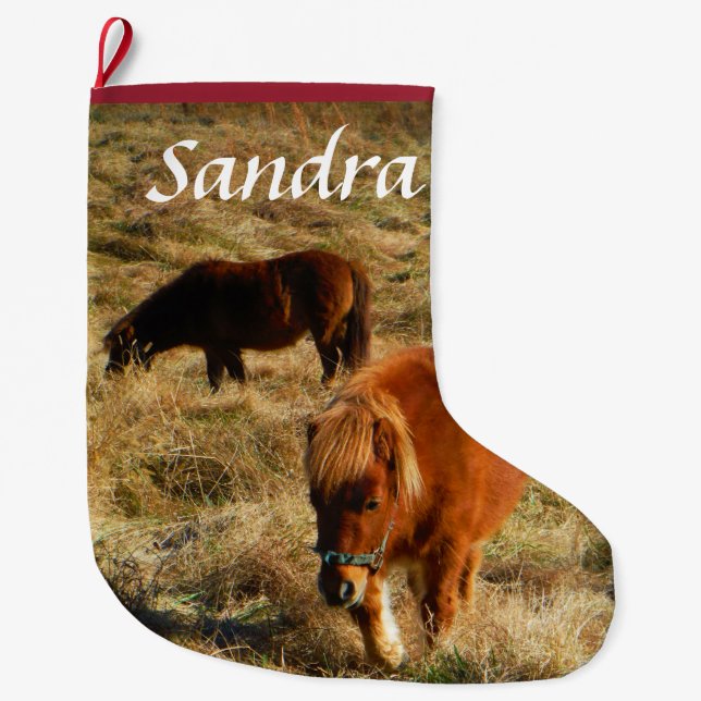 Personalize miniature Horse ponies Large Christmas Stocking (Front)