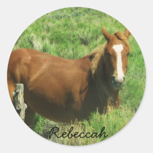 Personalize Name Horse Classic Round Sticker