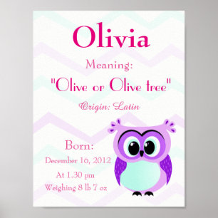 Personalize Name meaning keepsake nursery room Poster