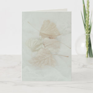 Personalize note birthday text leaf leaves card